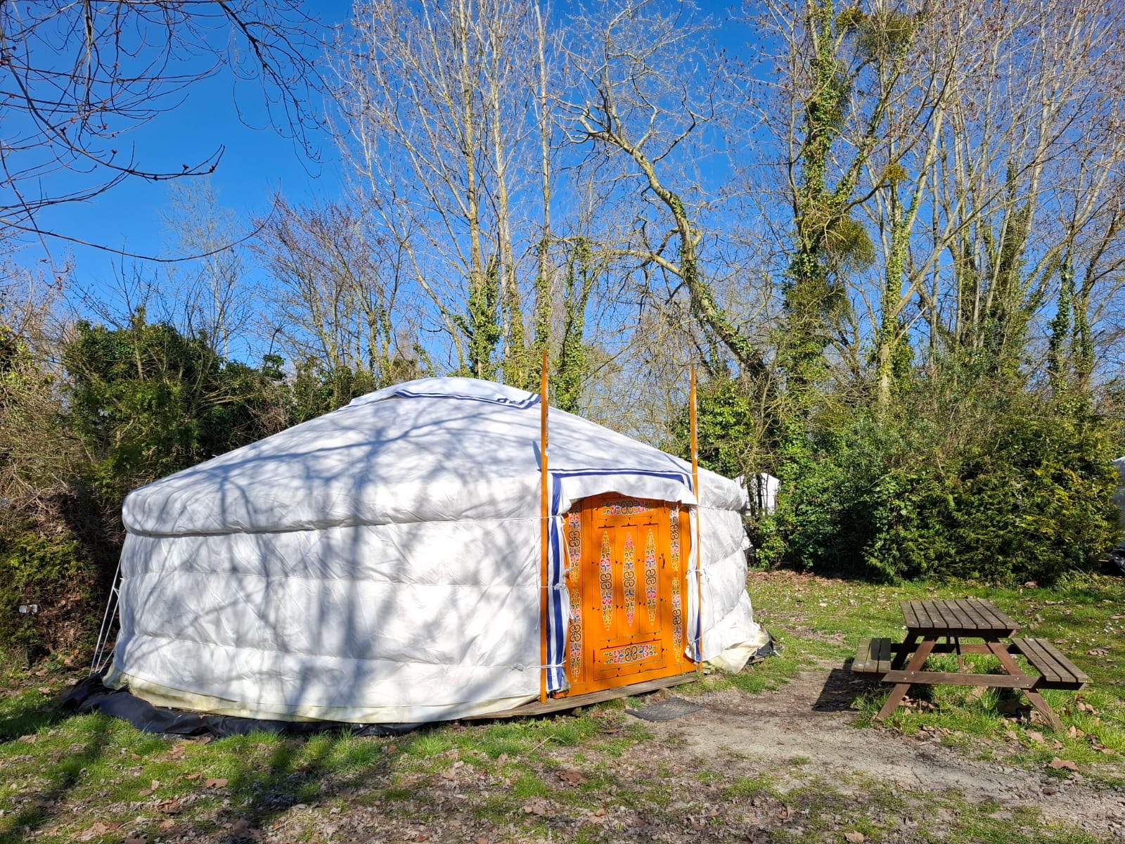 Yourte blanche avec porte orange décorée, entourée d'arbres, près d'une table de pique-nique sur une pelouse verte.